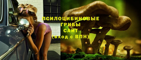mix Карпинск