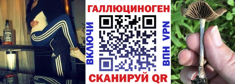 Псилоцибиновые грибы Cubensis  Купить  Гуково 